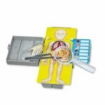 KidzLabs Εκπαιδευτικό Σετ Ανατομία Ανθρώπινου Σώματος με Χειρουργικό Τραπέζι 8+ Ετών - Image 3